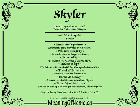 skyler definition.